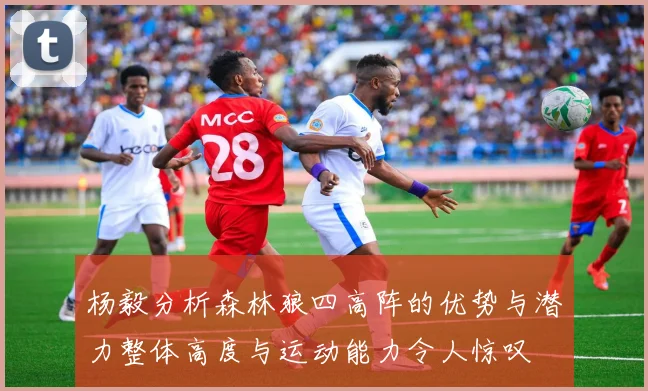杨毅分析森林狼四高阵的优势与潜力整体高度与运动能力令人惊叹