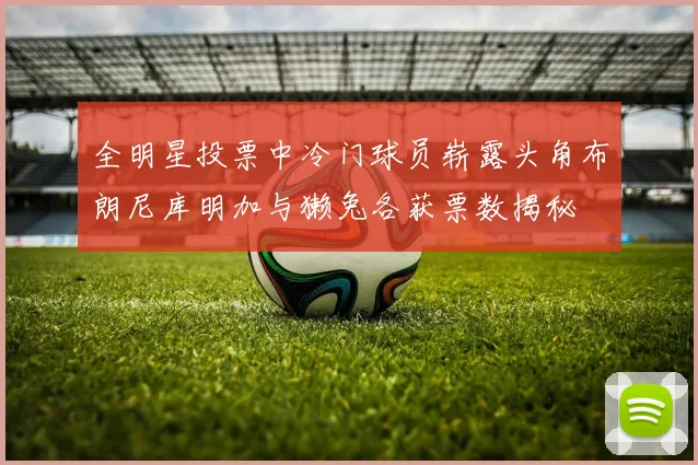 全明星投票中冷门球员崭露头角布朗尼库明加与獭兔各获票数揭秘